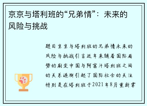 京京与塔利班的“兄弟情”：未来的风险与挑战